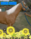 3da3977f.gif image by redkillmaster